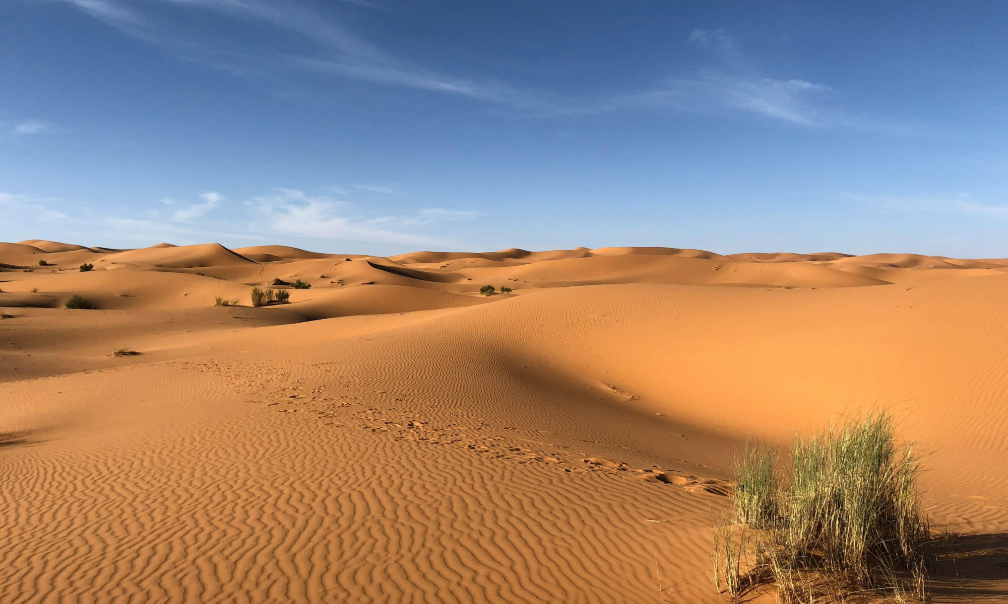 L'humilité (Pères du désert 4/6)