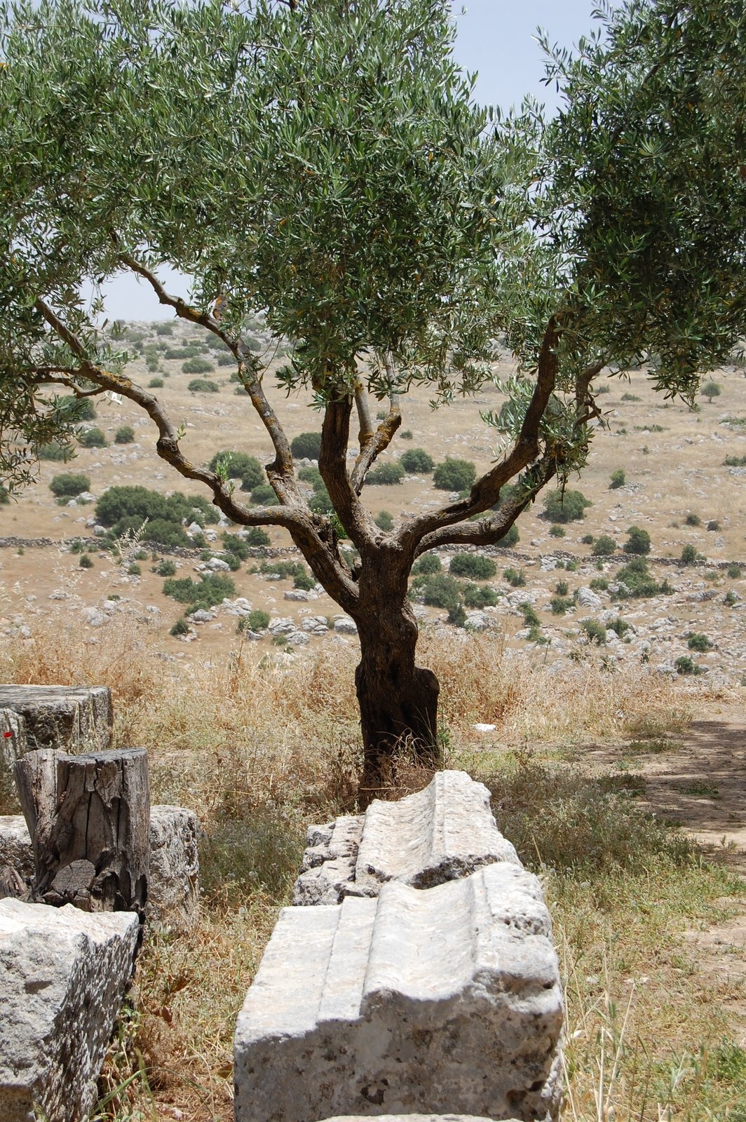 La vie intérieure (Pères du désert 1/6)