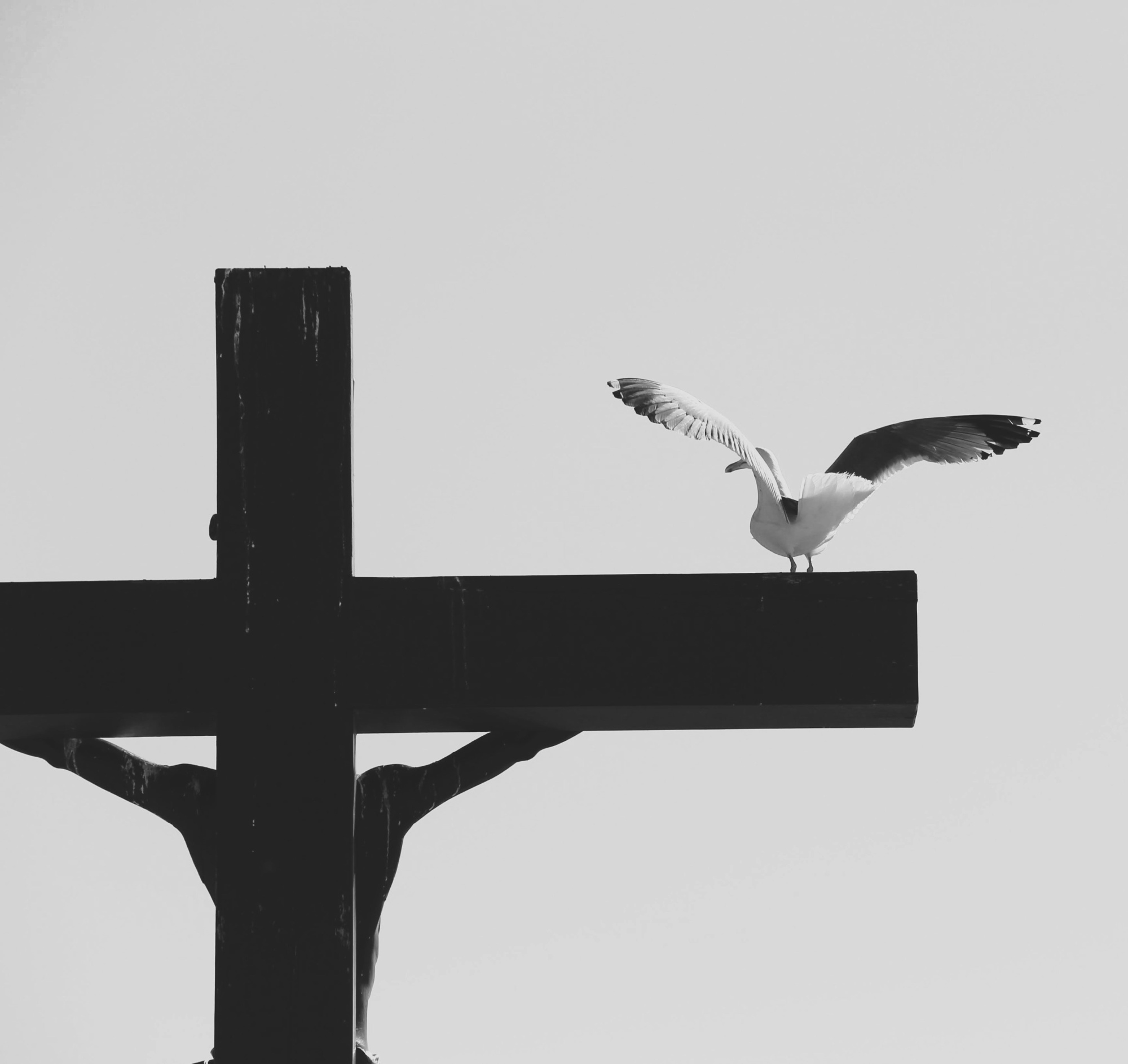 Rencontrer Jésus - Immersion