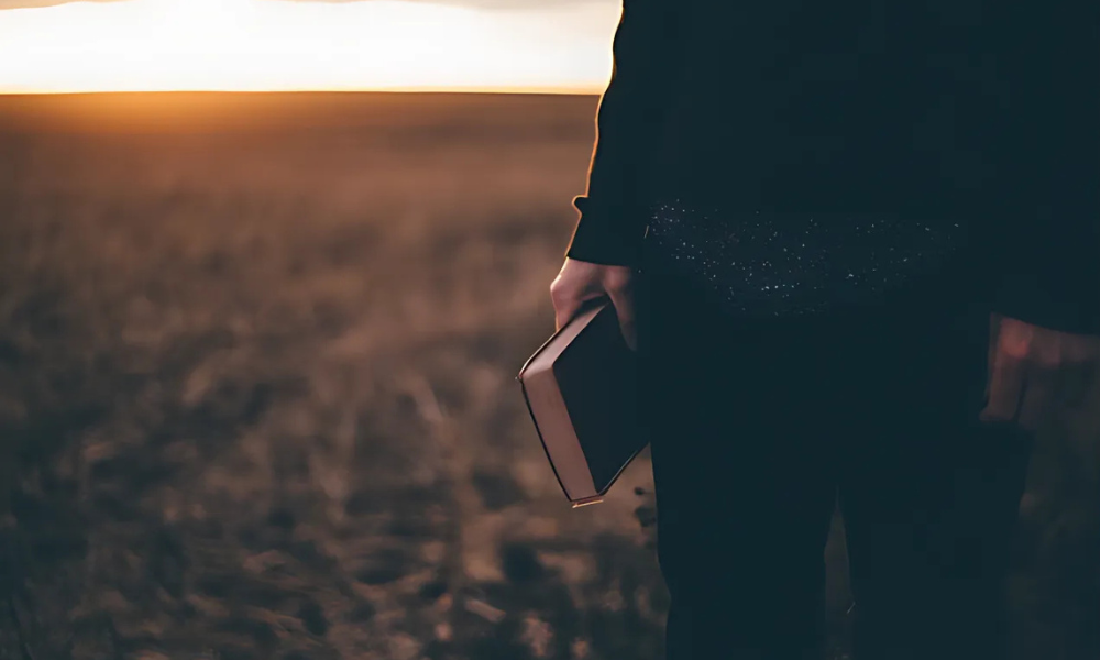 Rencontrer Jésus dans l'Evangile