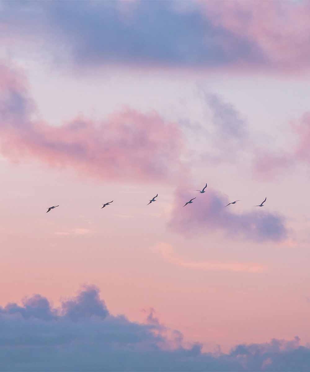 M&eacute;ditation du jour