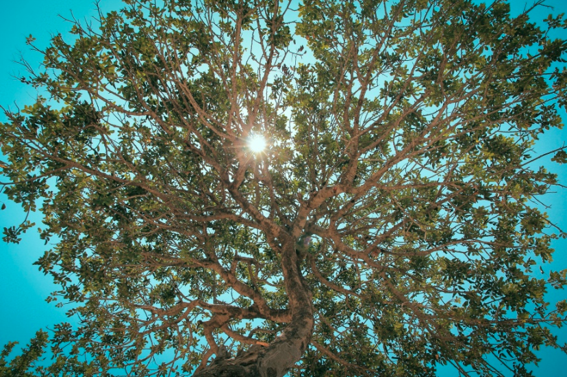 Méditation du jour