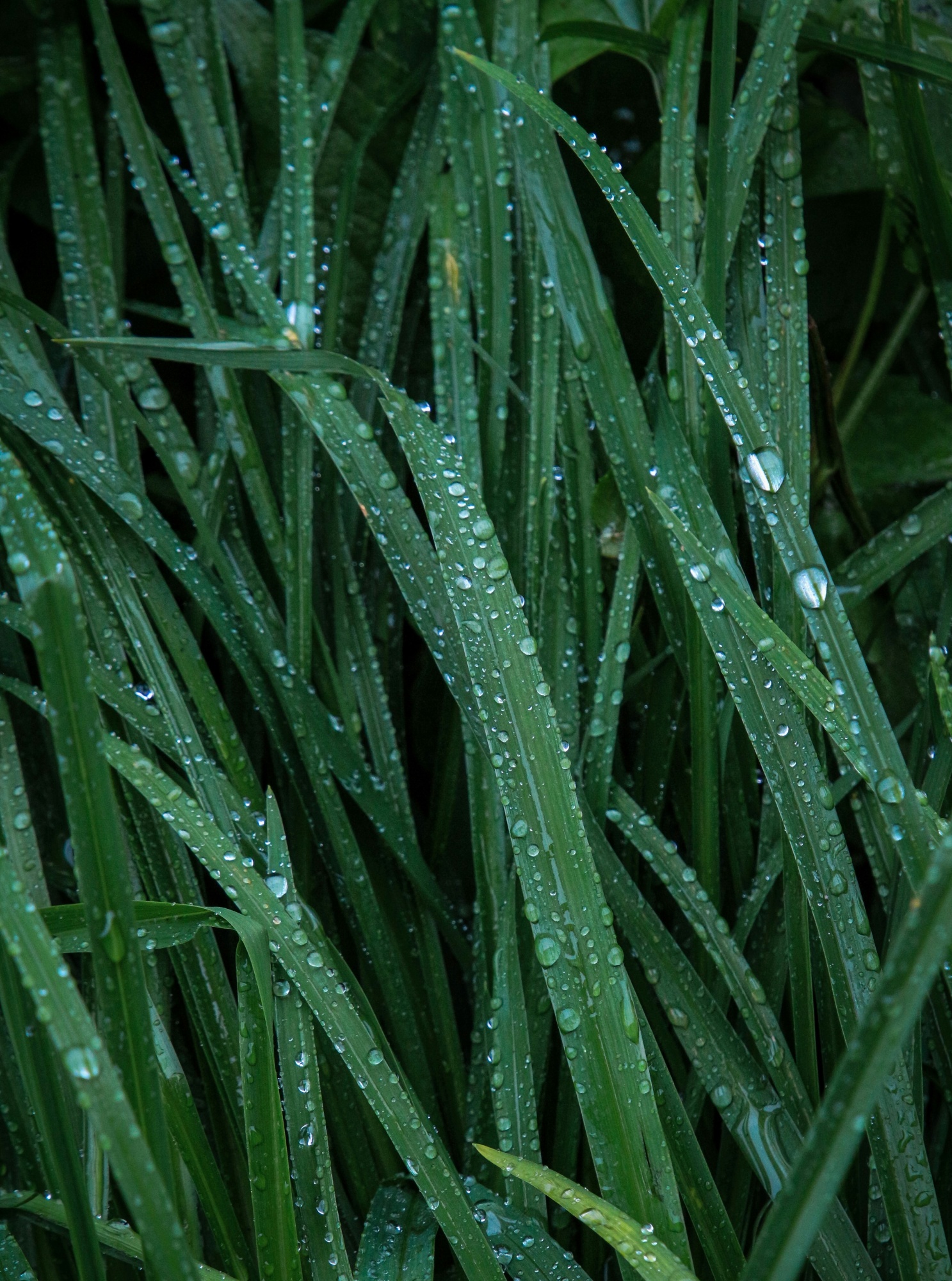 M&eacute;ditation du jour