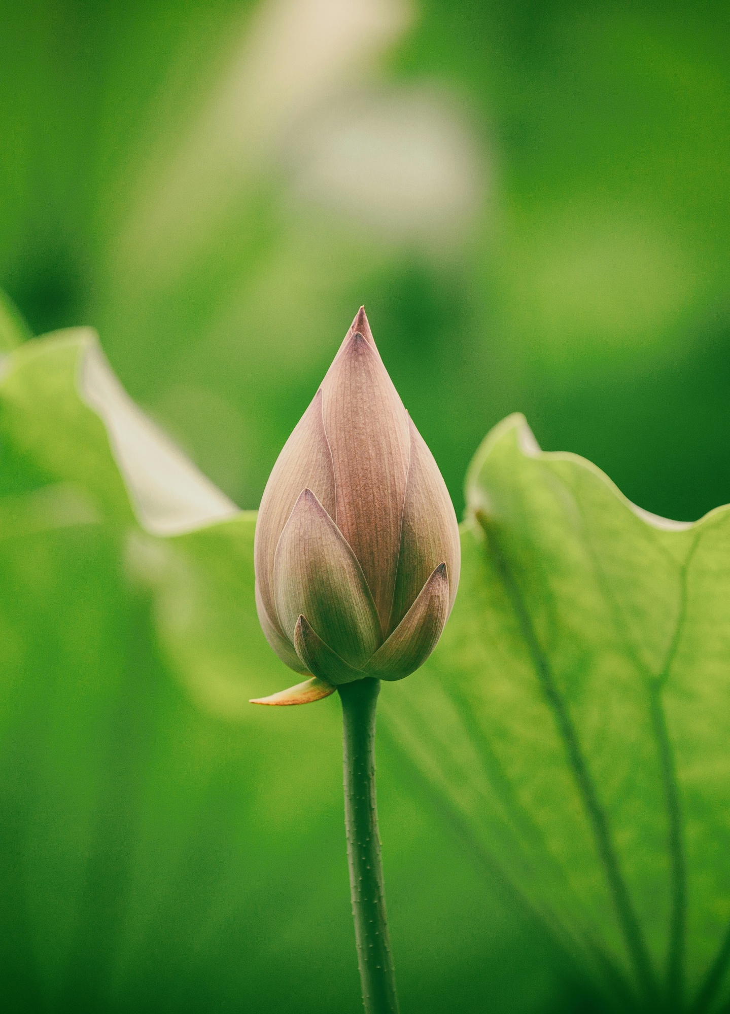 M&eacute;ditation du jour