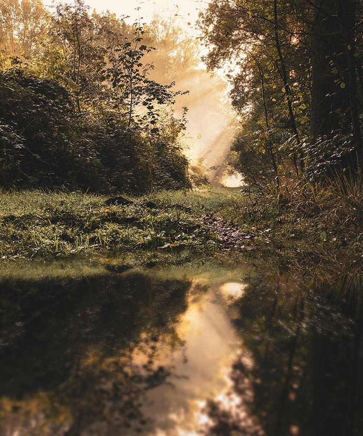 M&eacute;ditation du jour