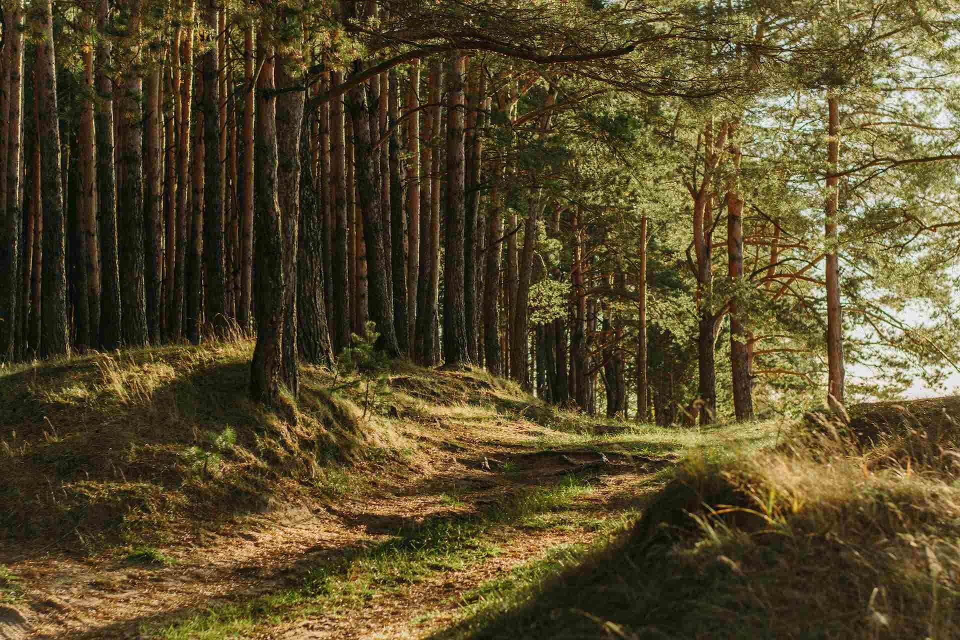 Méditation du jour