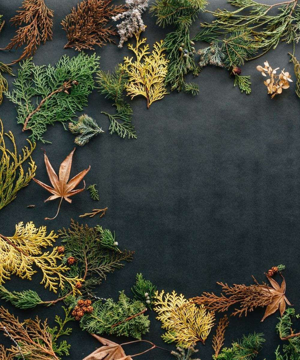 M&eacute;ditation du jour